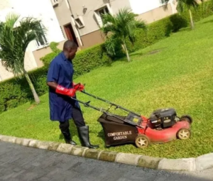 Gardener and Landscaping